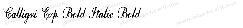 Calligri Exp Bold Italic Bold Itali字体转换